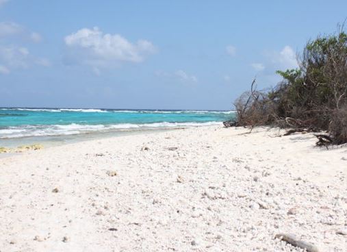 Isla Johnny Cay Isla de San Andrés