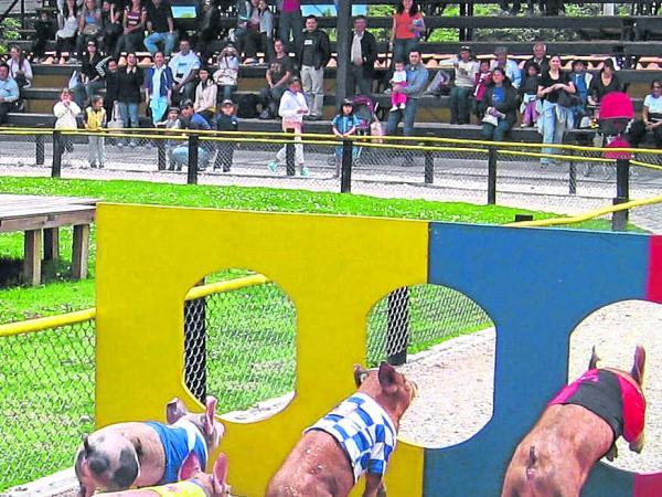 Parque Finkana