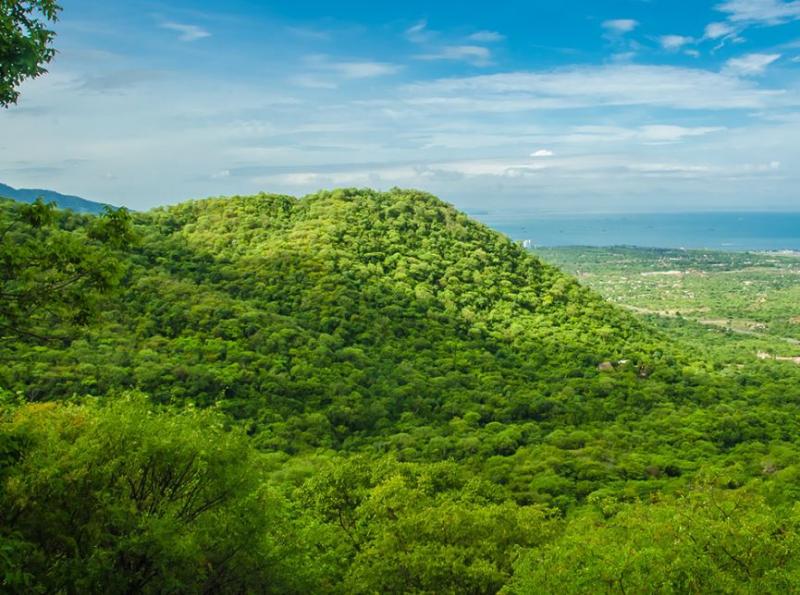 Reserva Natural Mamancana