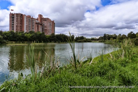 Humedal Córdoba