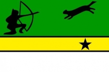 Bandera del Amazonas
