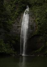 Cascada