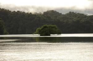Desde el Pacífico colombiano, el turismo que transforma vidas más allá de las cifras récord
