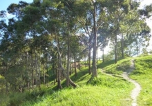 Imagen Sendero