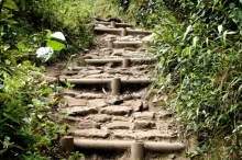 Imagen Senderos