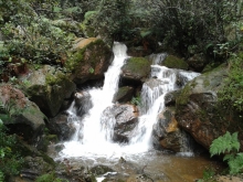 Imagen Las Delicias