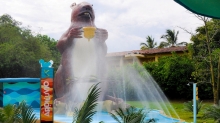 Imagen Kanaloa Parque Acuático