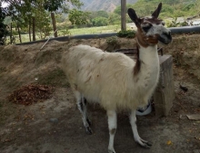 Imagen Granja