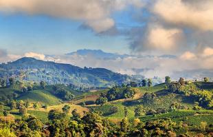 Imagen Manizales Colombia