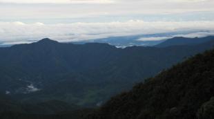Imagen Mirardor Romelia