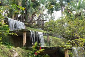 Imagen Naturalez