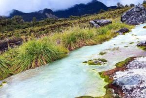 Imagen Paisaje