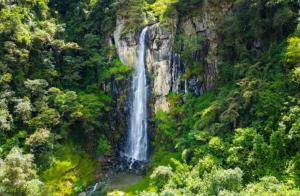 Imagen Cascada